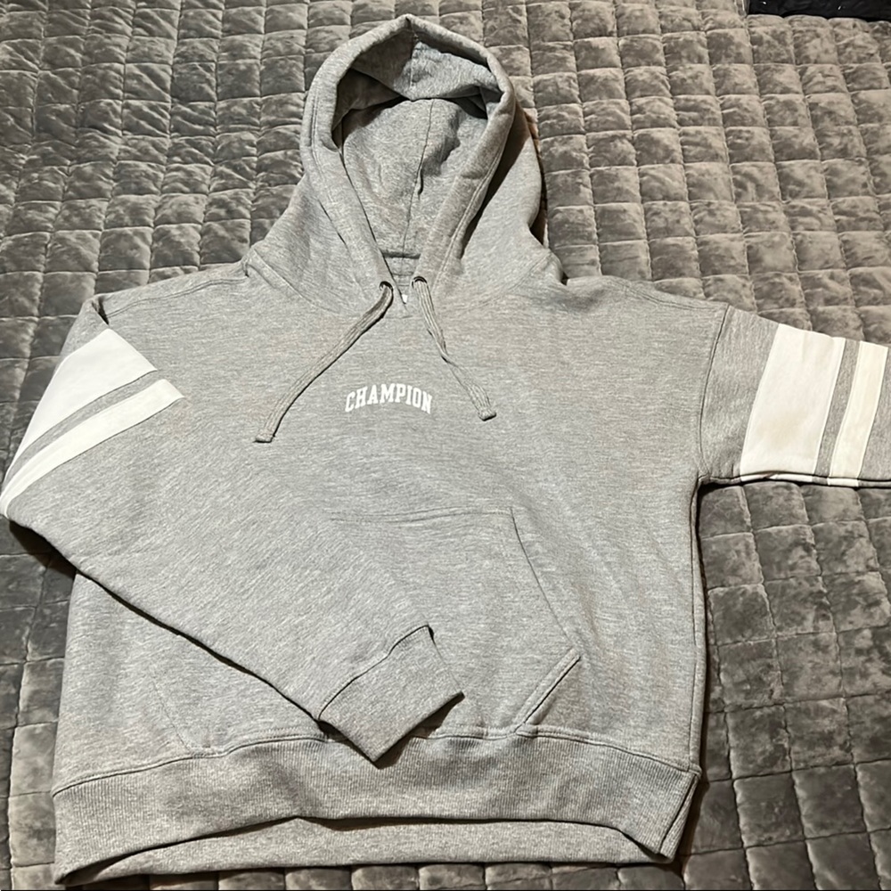 Champion Gray and White Pullover Hoodie
A33